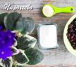 Рецепт мармелада с желатином в домашних условиях Мармелад из смородины на зиму