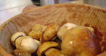 Рецепты супа из замороженных грибов